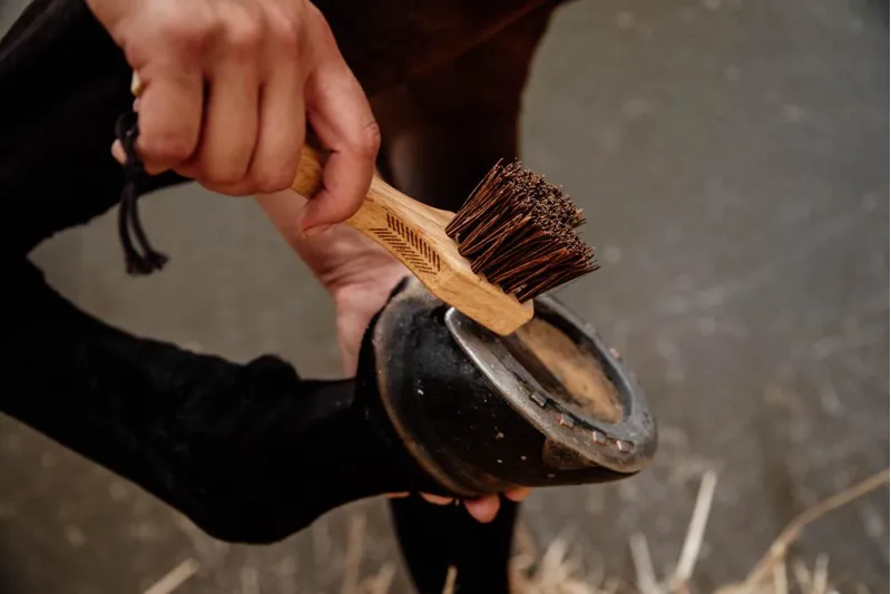 Kentucky Grooming Deluxe Hoof Pick-1