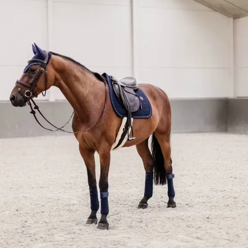 Kentucky Saddle Pad Glitter Rope Jumping Full - Navy-4