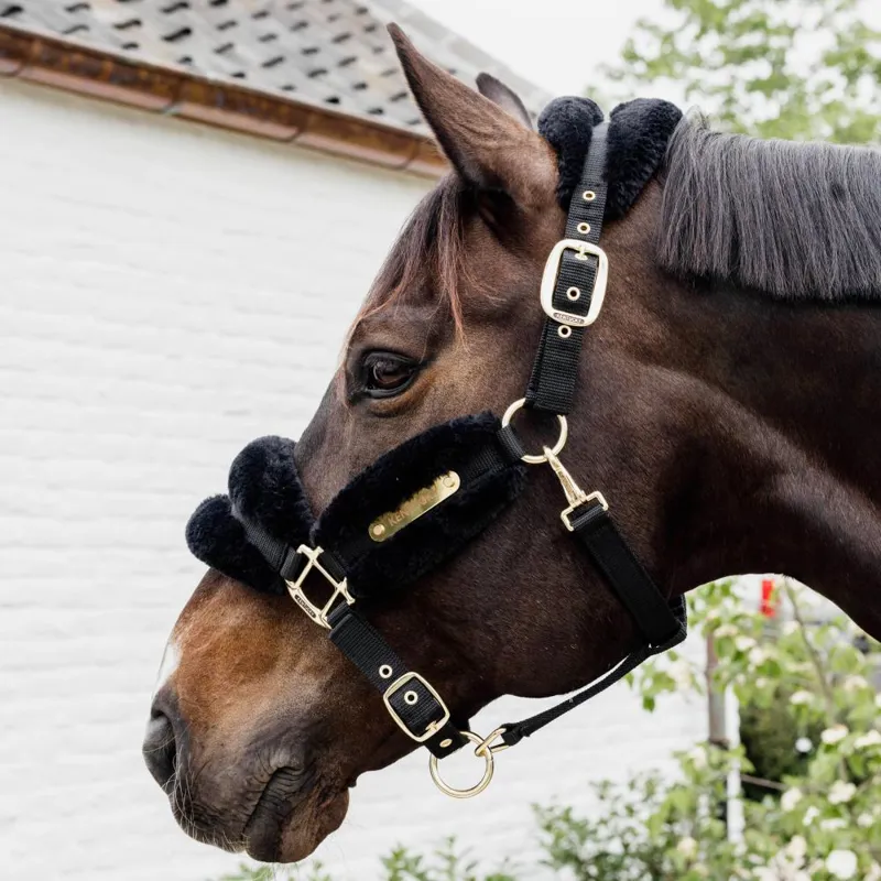Kentucky Sheepskin Headcollar - Black-1