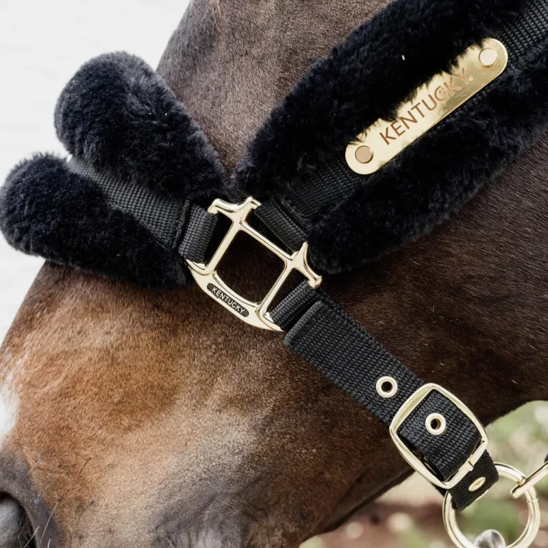 Kentucky Sheepskin Headcollar - Black-2