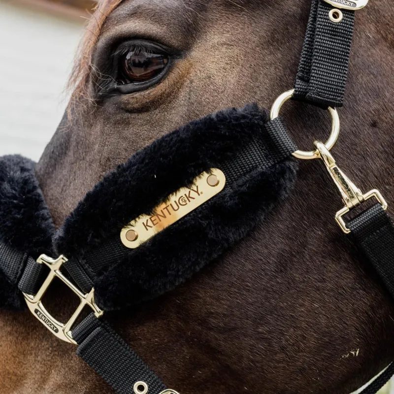 Kentucky Sheepskin Headcollar - Black-3