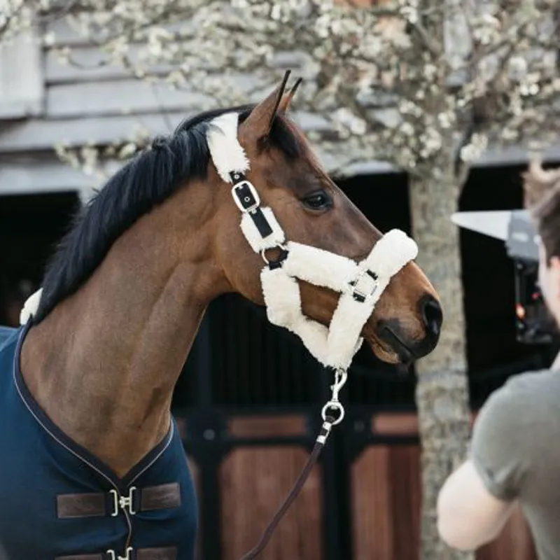 Kentucky Sheepskin Headcollar - Natural - Full