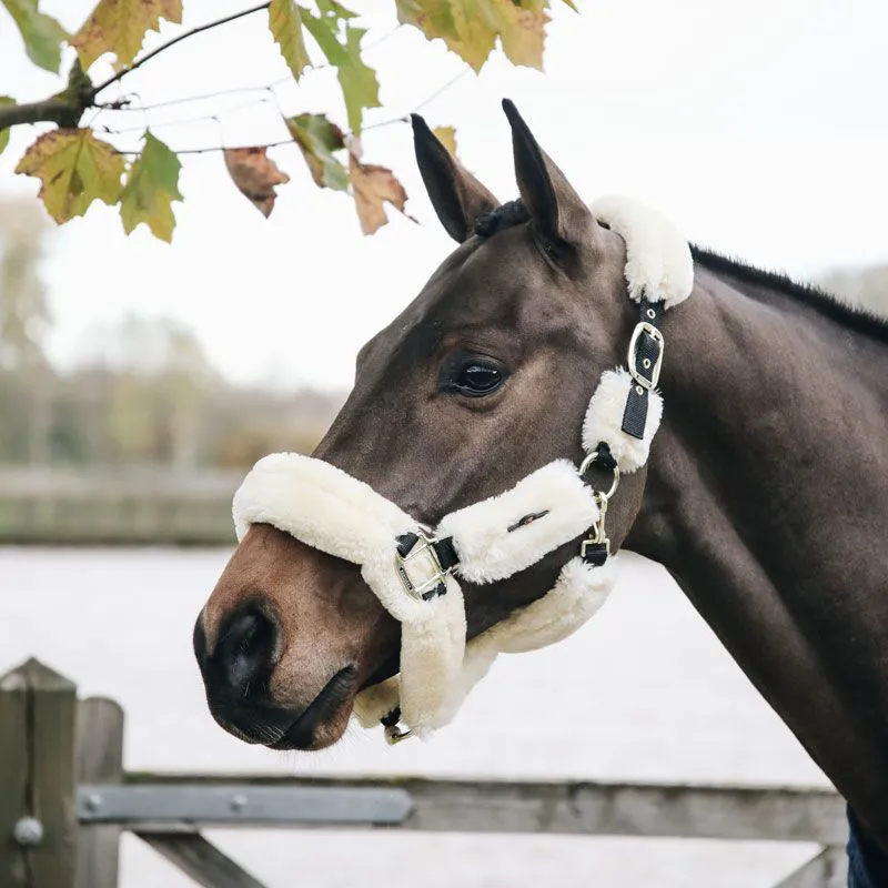 Kentucky Sheepskin Headcollar - Natural - Full-1