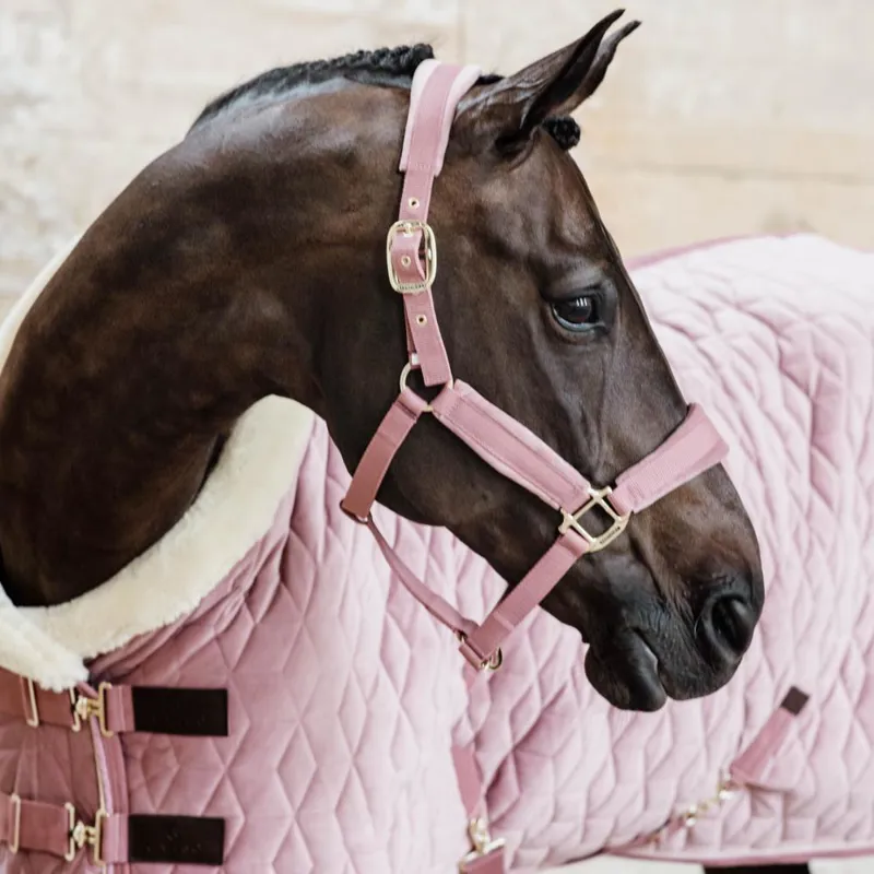 Kentucky Velvet Show Rug 5ft 9 - Old Rose-4