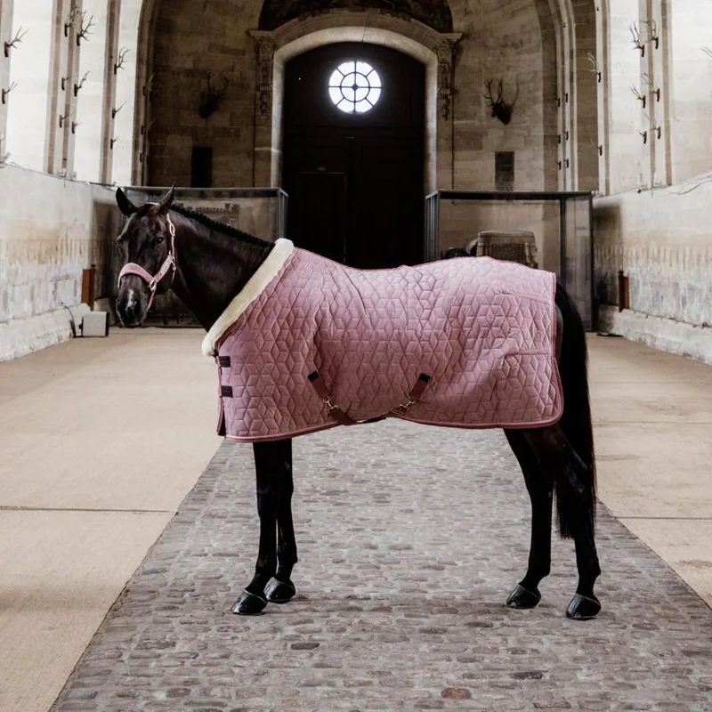 Kentucky Velvet Show Rug 5ft 9 - Old Rose-6