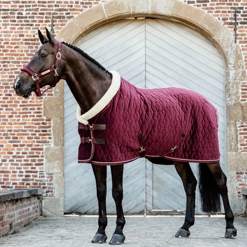Kentucky Velvet Show Rug 6ft 3 - Bordeaux