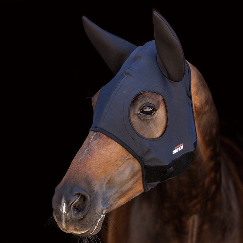Lamicell Titanium Mask With Ears L - Black