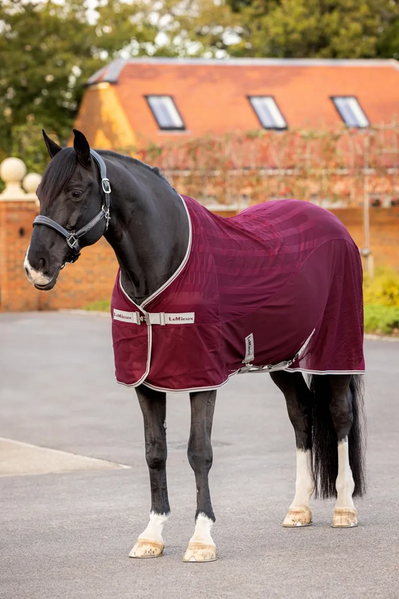 LeMieux Arika Air-Tek Sheet - Burgundy-1