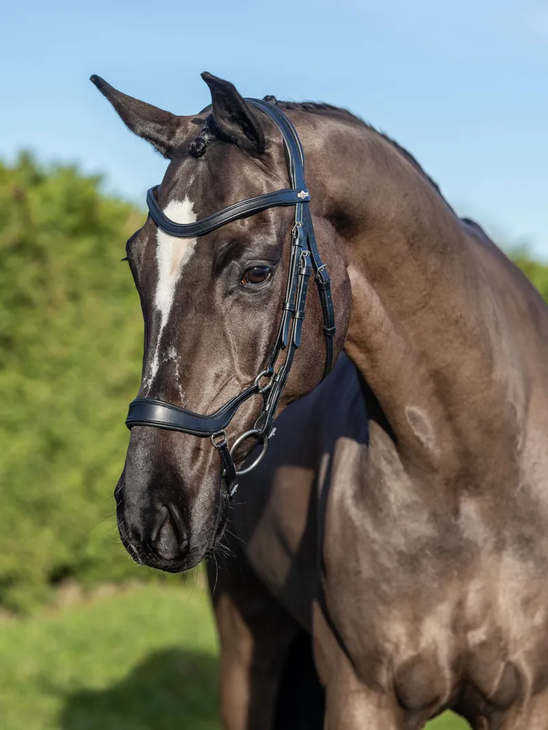 LeMieux Arika Drop Bridle - Black-3