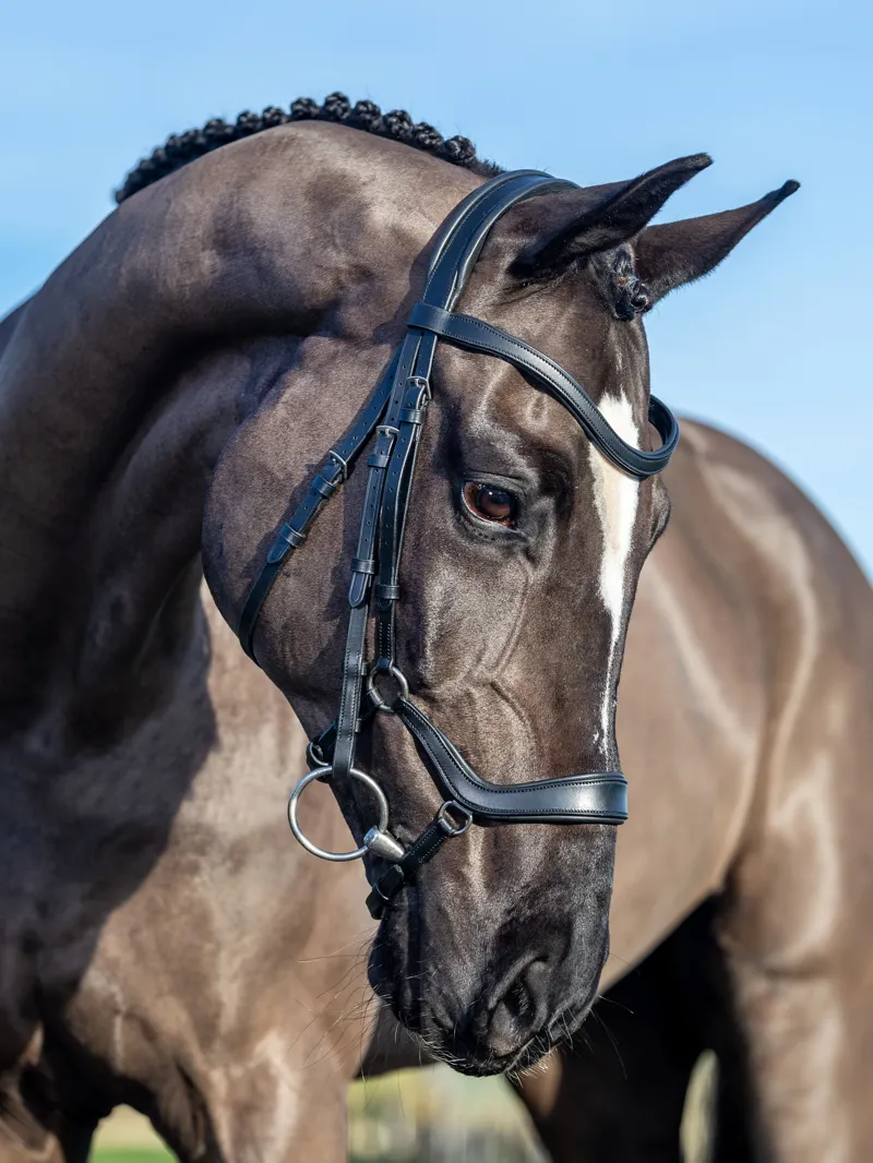 LeMieux Arika Drop Bridle - Black-4