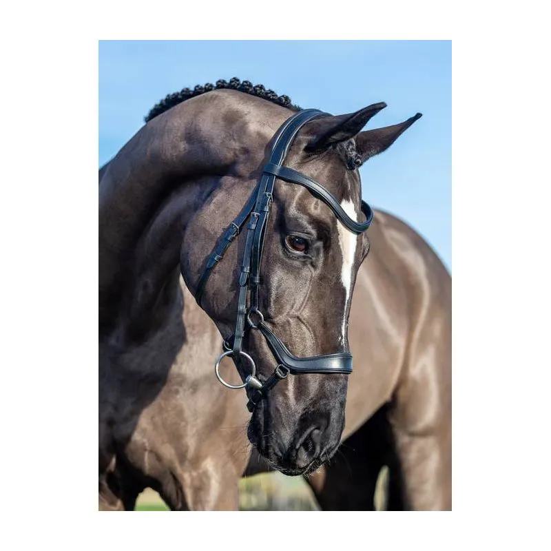 LeMieux Arika Drop Bridle - Full - Brown