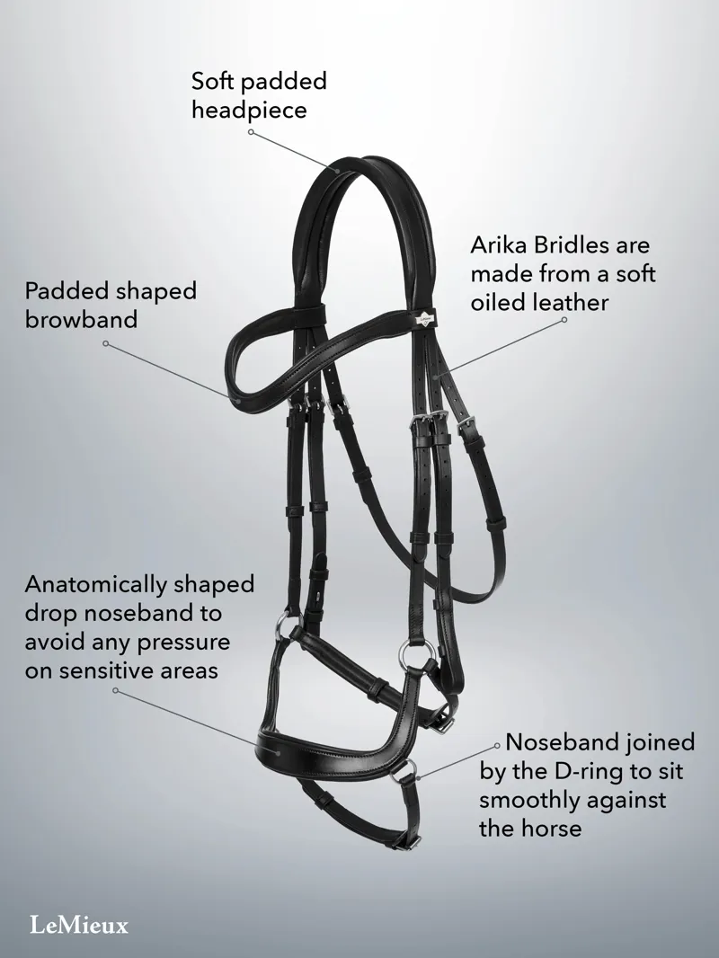 LeMieux Arika Drop Bridle - Full - Brown-1