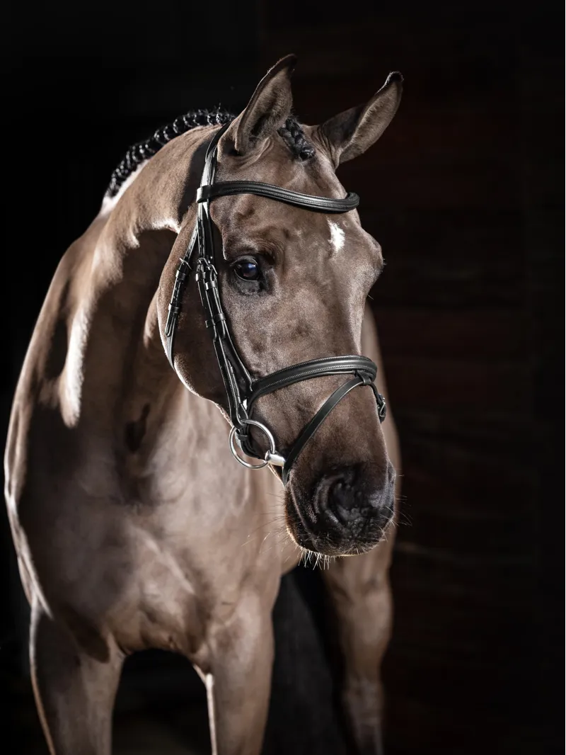 LeMieux Arika Flash Bridle - Black-3
