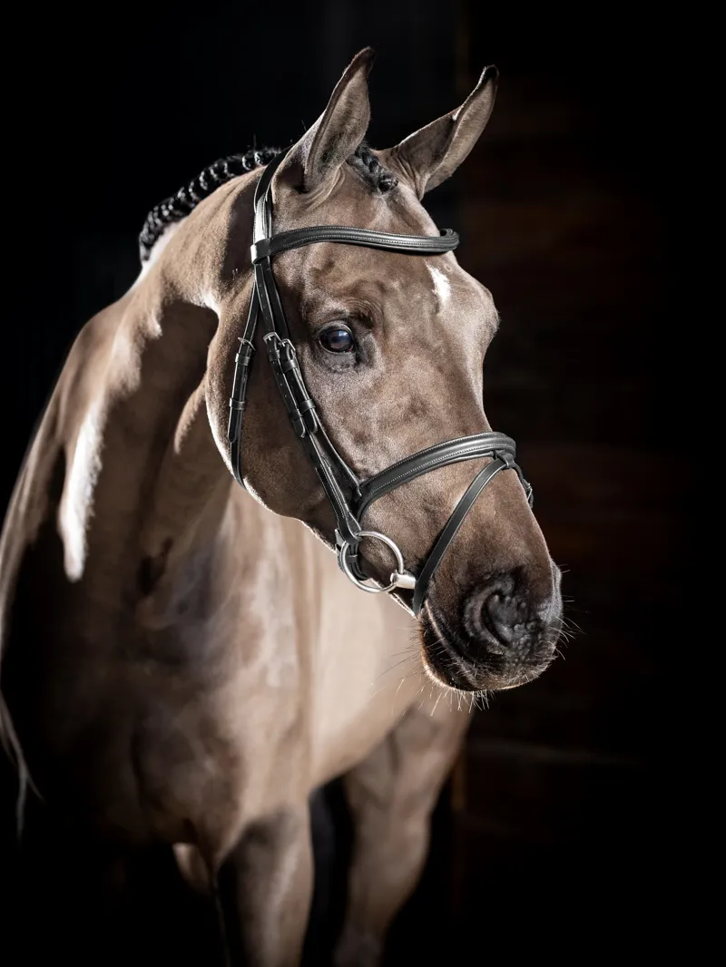 LeMieux Arika Flash Bridle - Black-4