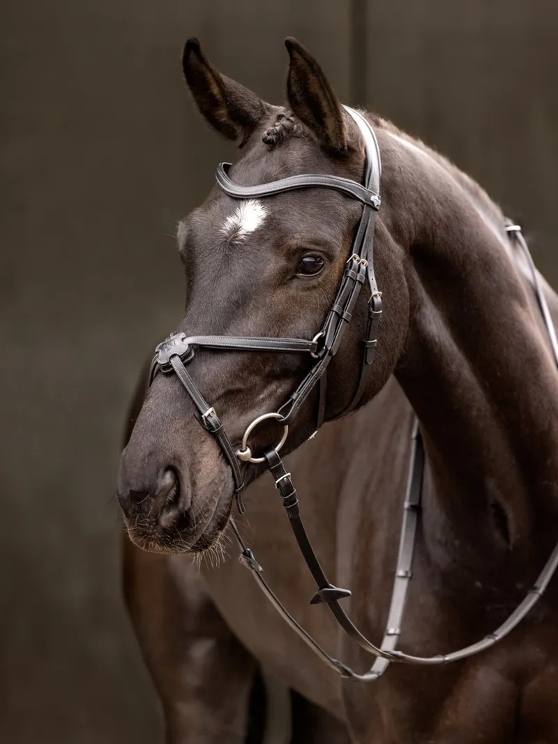 LeMieux Arika Grackle Bridle - Black-3