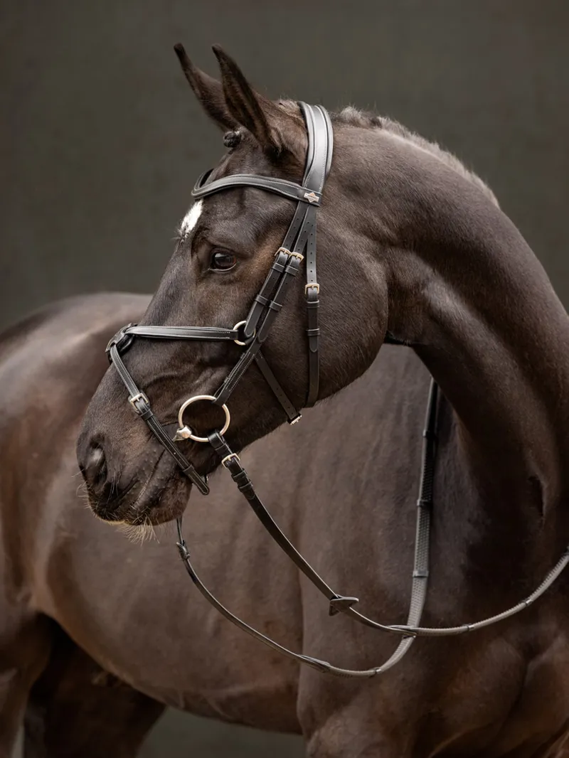 LeMieux Arika Grackle Bridle - Black-4