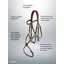 LeMieux Arika Grackle Bridle - Pony - Havana