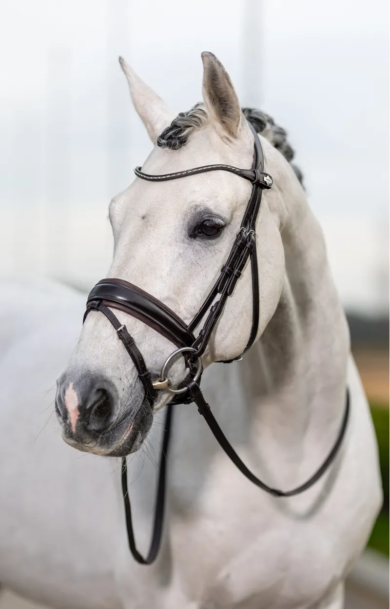 LeMieux Classic Dressage Bridle - Cob - Brown-1
