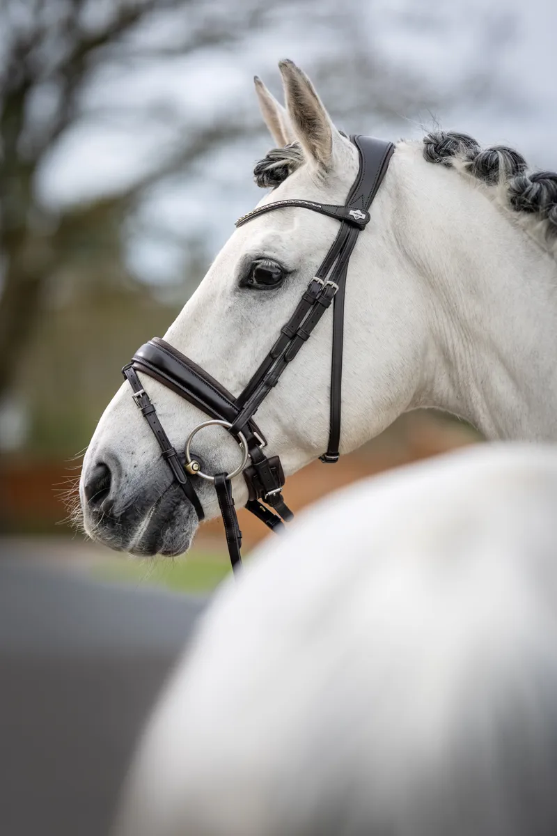 LeMieux Classic Dressage Bridle - Cob - Brown-2