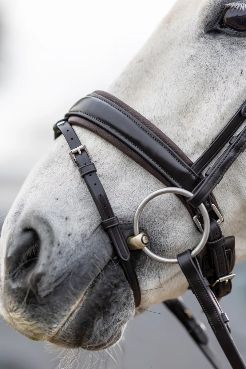 LeMieux Classic Dressage Bridle - Cob - Brown-3