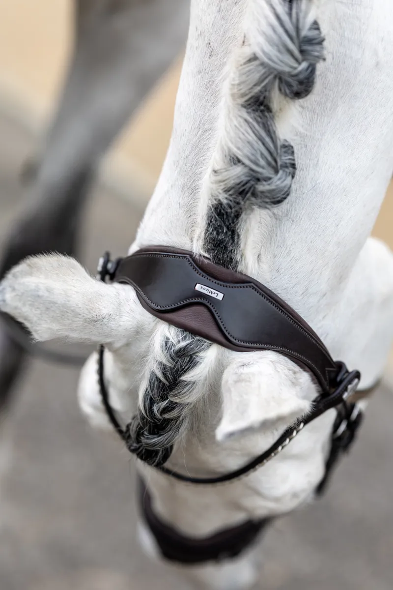LeMieux Classic Dressage Bridle - Cob - Brown-4