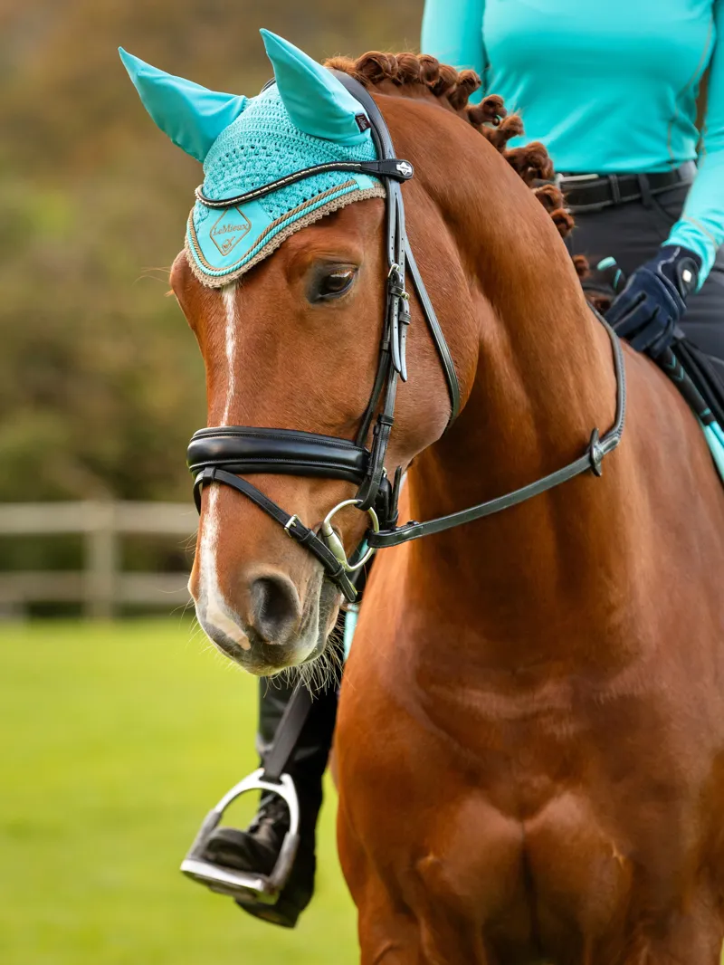 LeMieux Classic Ear Bonnet - Azure-1