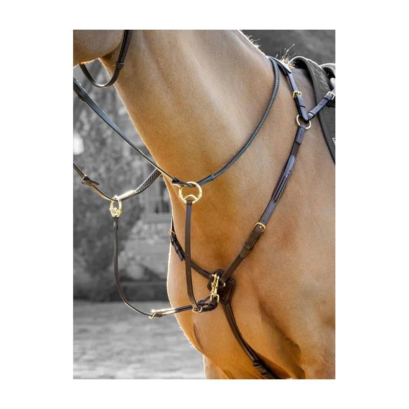 LeMieux D Ring Attachment Breastplate - Cob - Havana-3