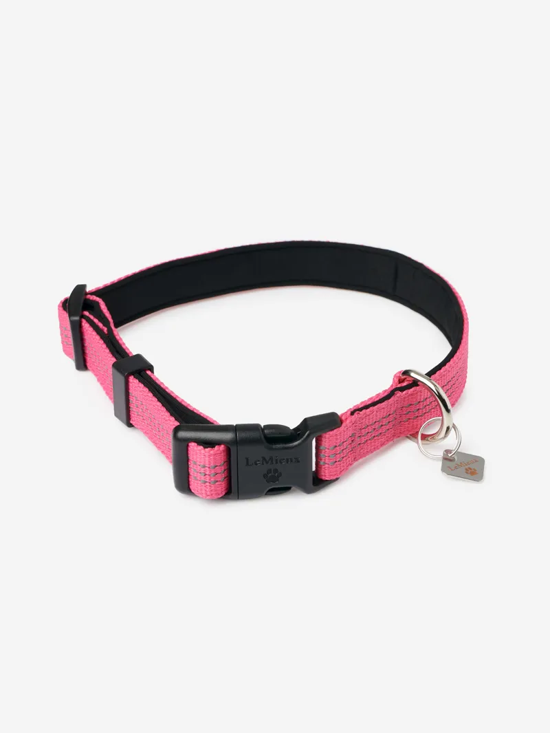 LeMieux Henley Dog Collar XXL - Watermelon