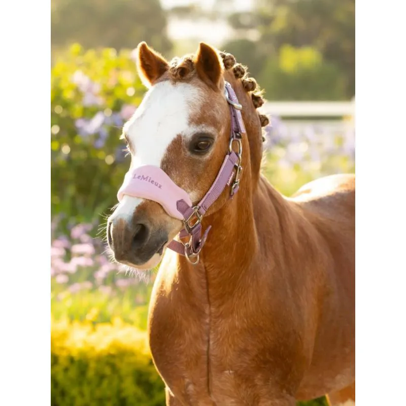 LeMieux Hobby Horse Vogue Head Collar and Leadrope - Mallow-2