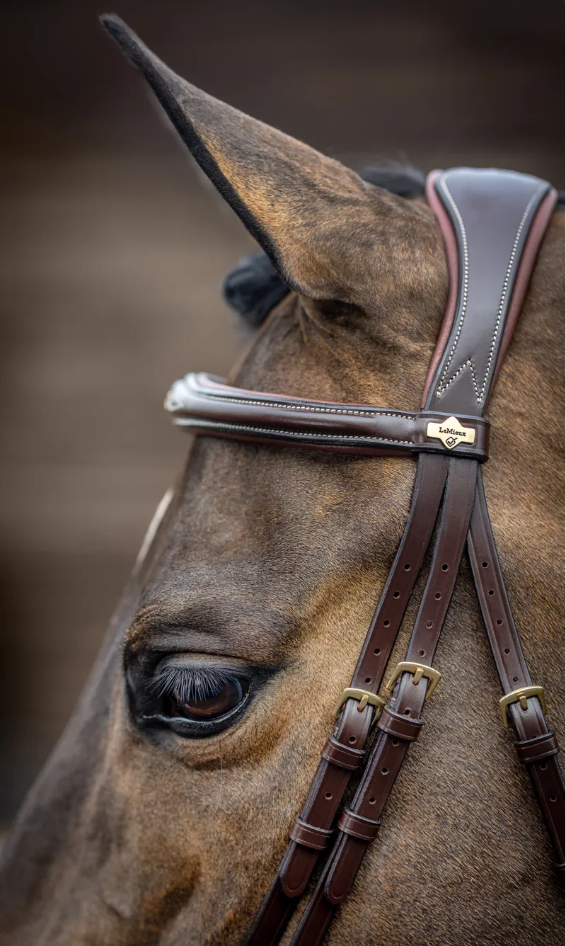 LeMieux Kudos Competition Flash Bridle - Cob - Havana-1