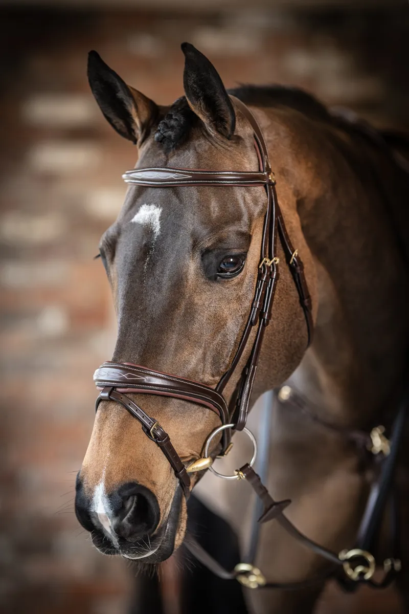 LeMieux Kudos Competition Flash Bridle - Cob - Havana-2
