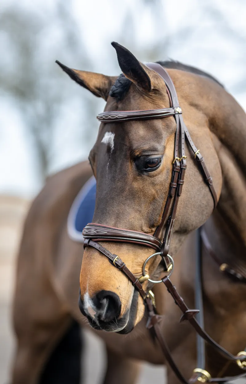 LeMieux Kudos Competition Flash Bridle - Cob - Havana-3