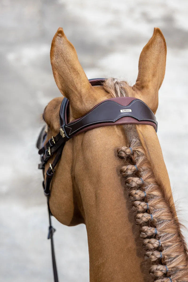LeMieux Kudos Competition Flash Bridle - Cob - Havana-4
