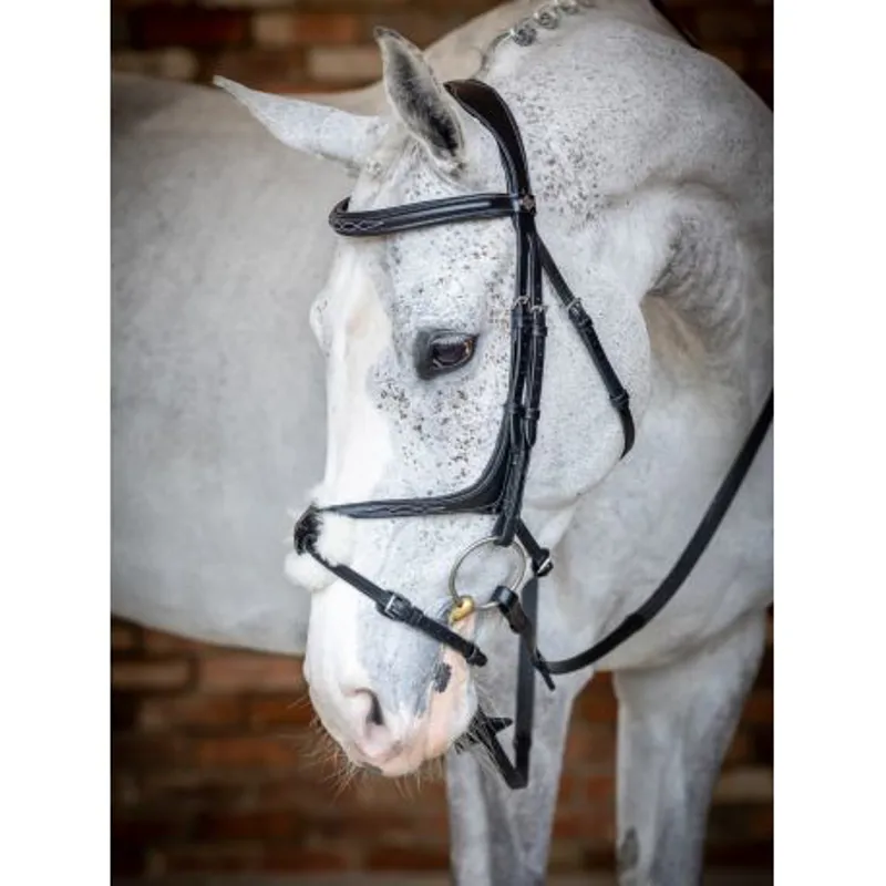 LeMieux Kudos Grackle Bridle - Black