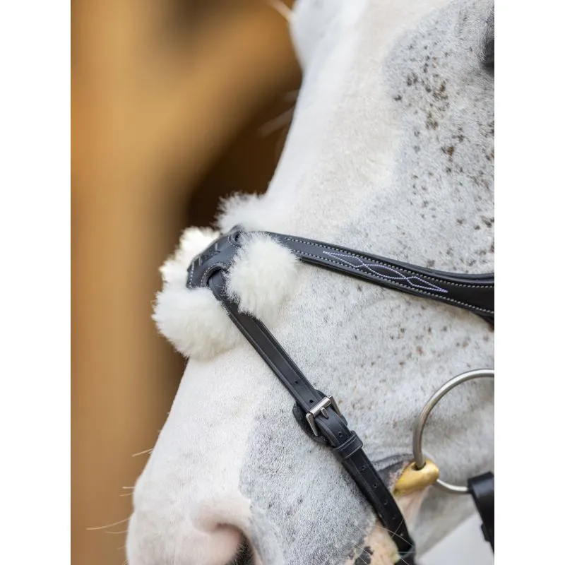 LeMieux Kudos Grackle Bridle - Black-2