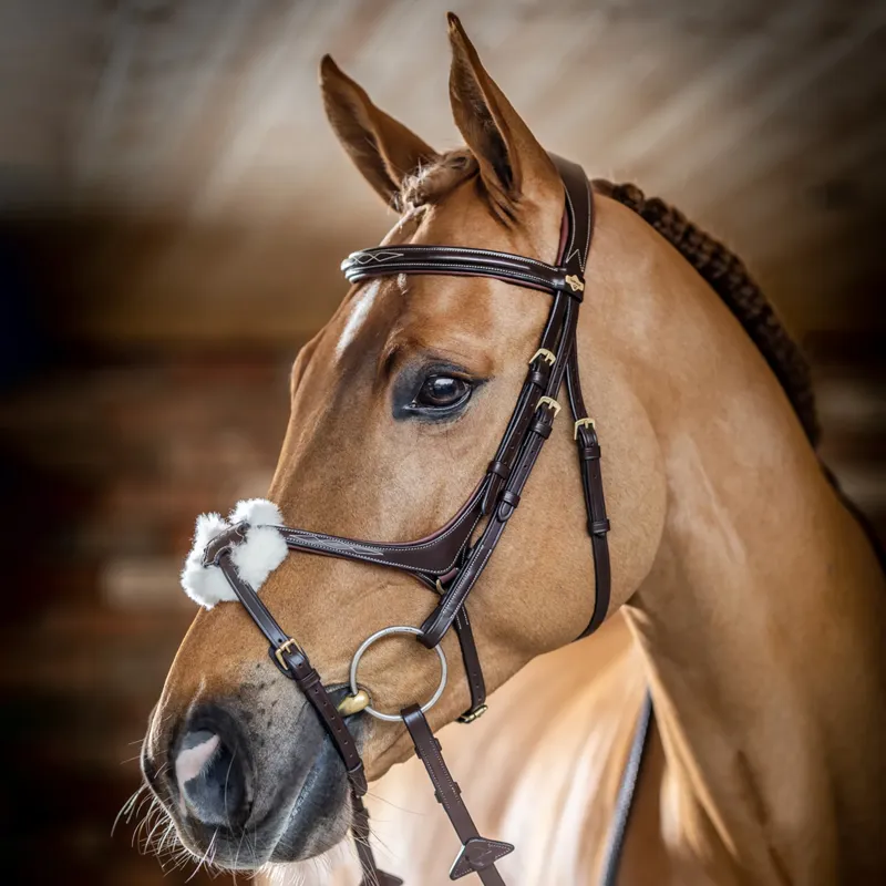 LeMieux Kudos Grackle Bridle - Cob - Havana