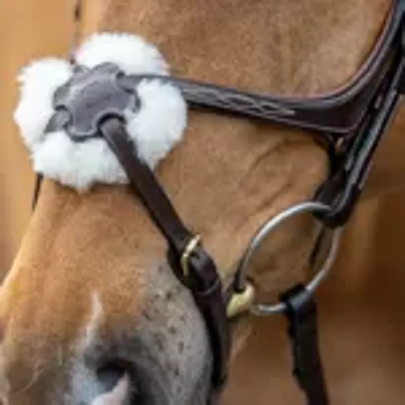 LeMieux Kudos Grackle Bridle - Cob - Havana-1