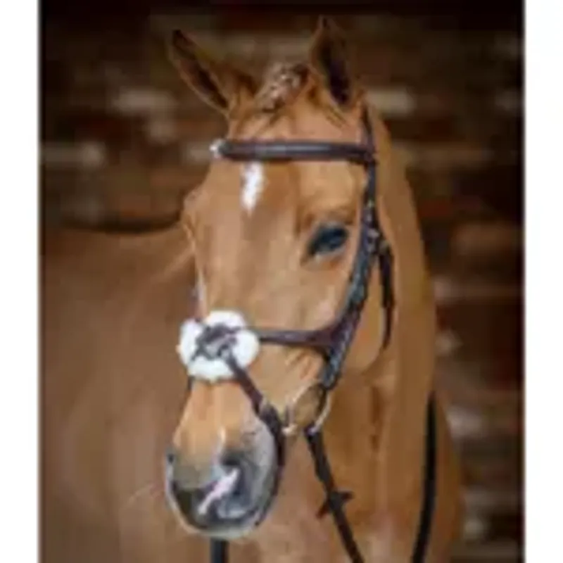 LeMieux Kudos Grackle Bridle - Cob - Havana-3