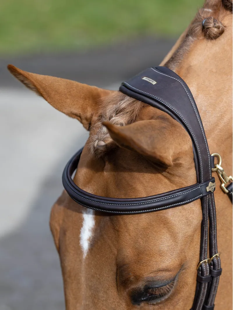 LeMieux Kudos Work Bridle - Brown-1