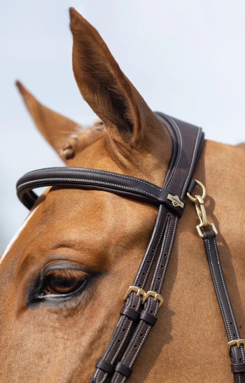 LeMieux Kudos Work Bridle - Brown-2