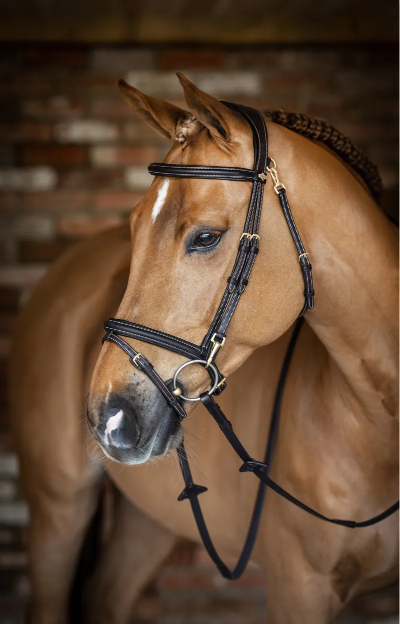 LeMieux Kudos Work Bridle - Brown-3