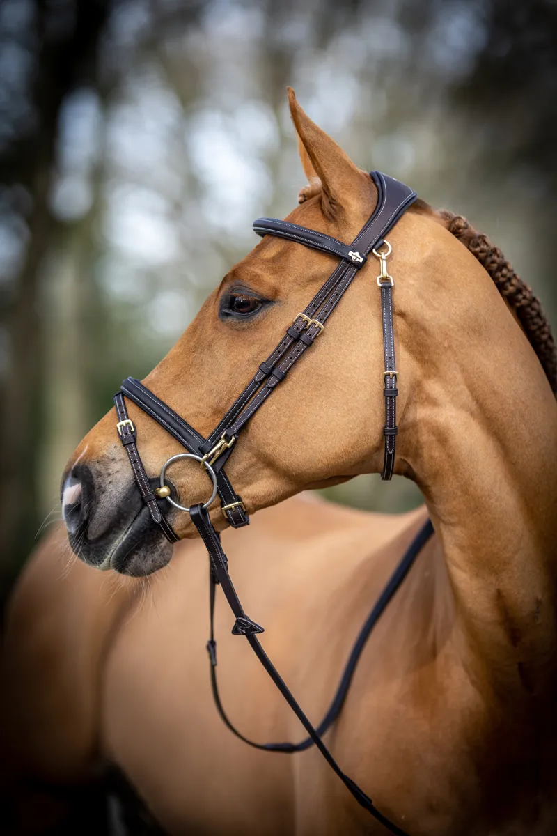 LeMieux Kudos Work Bridle - Brown-4