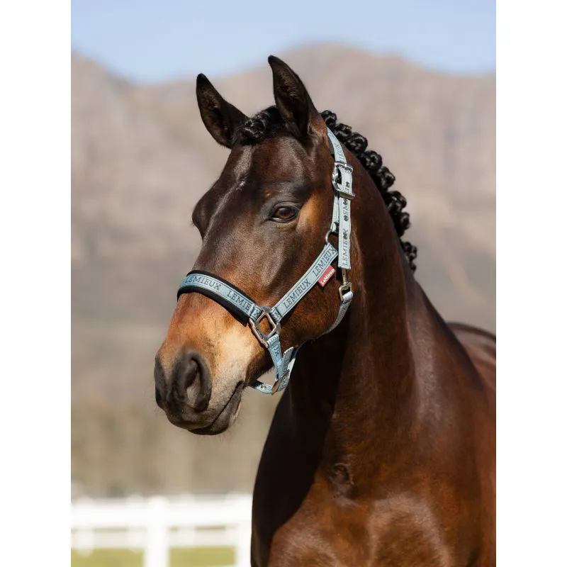 LeMieux Logo Headcollar - Glacier-1