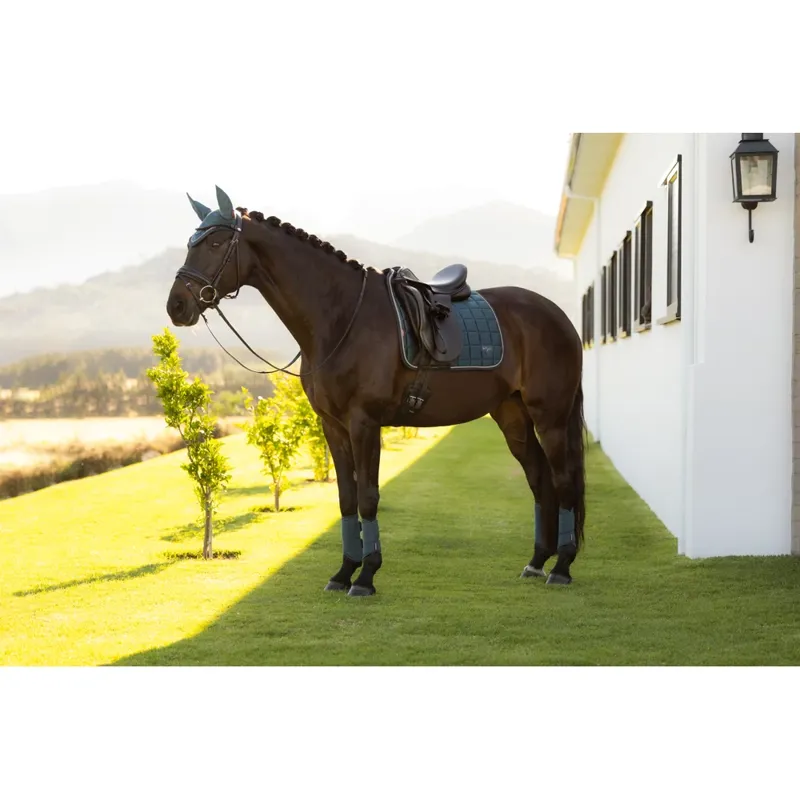 LeMieux Loire Classic Dressage Square L - Jungle-2