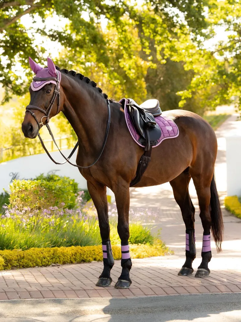 LeMieux Loire Classic GP Square L - Mallow-2