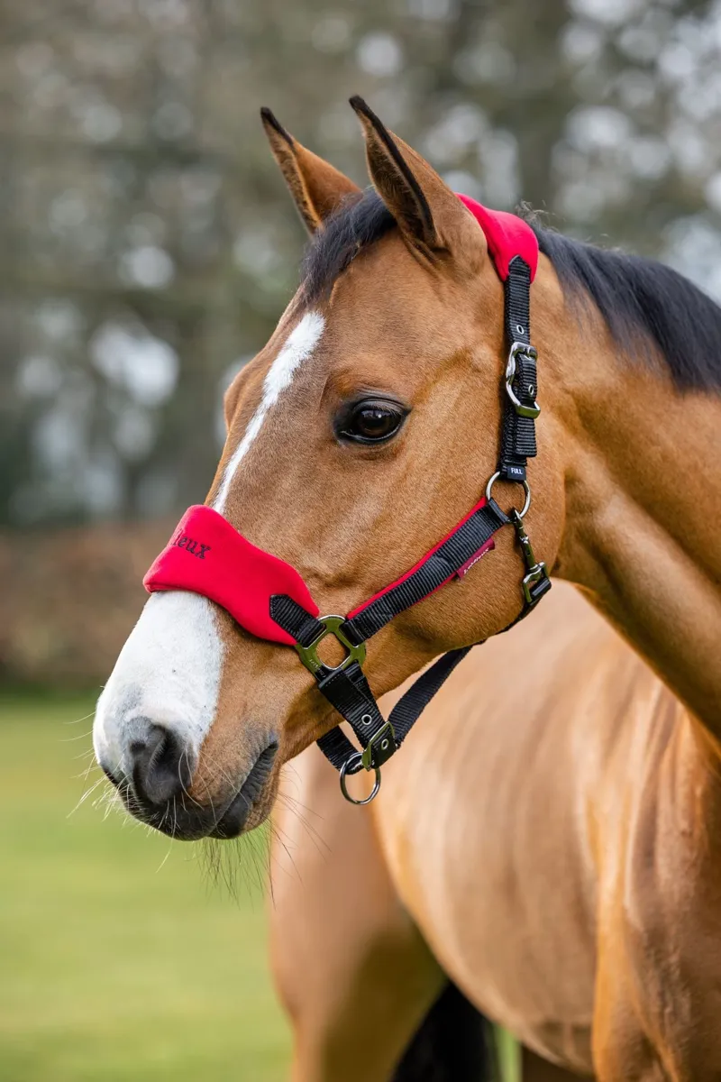 LeMieux Vogue Head Collar Cob - Chilli-1