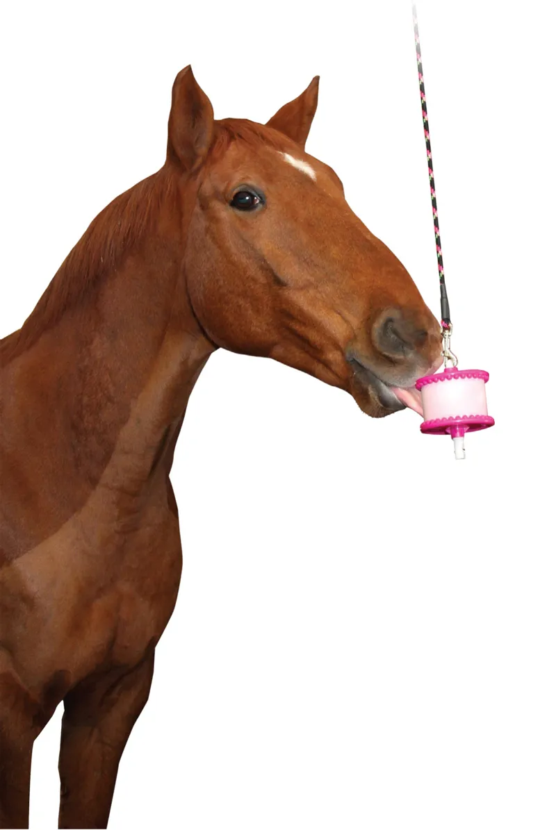 Likit Holder - Pink-2