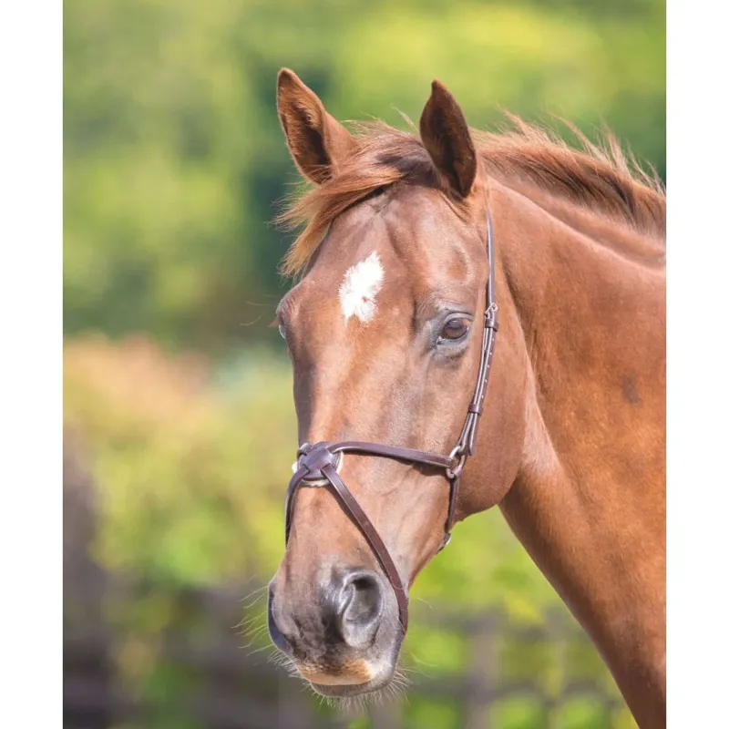 Shires Blenheim Mexican Noseband Full - Havana