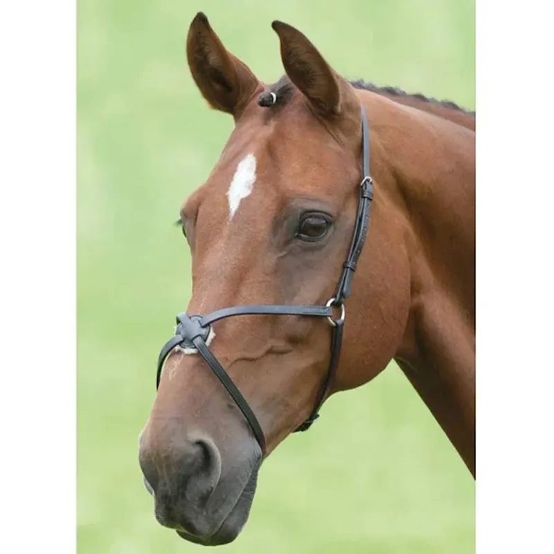 Shires Blenheim Mexican Noseband - Black