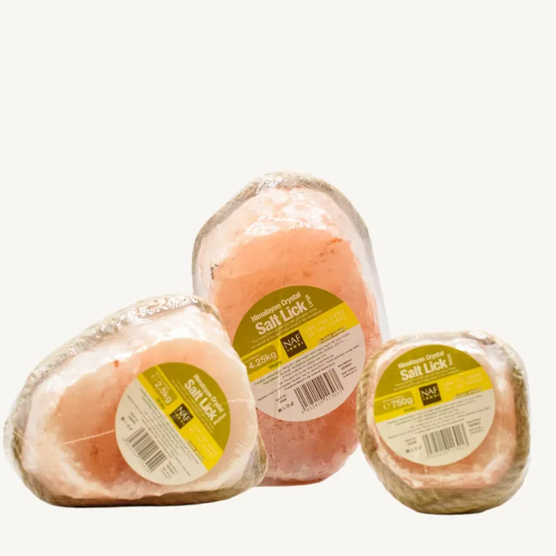 Naf Himalayan Salt Lick-2